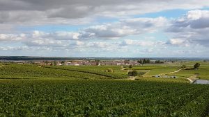 Vue sur Ambonnay depuis le vignoble
